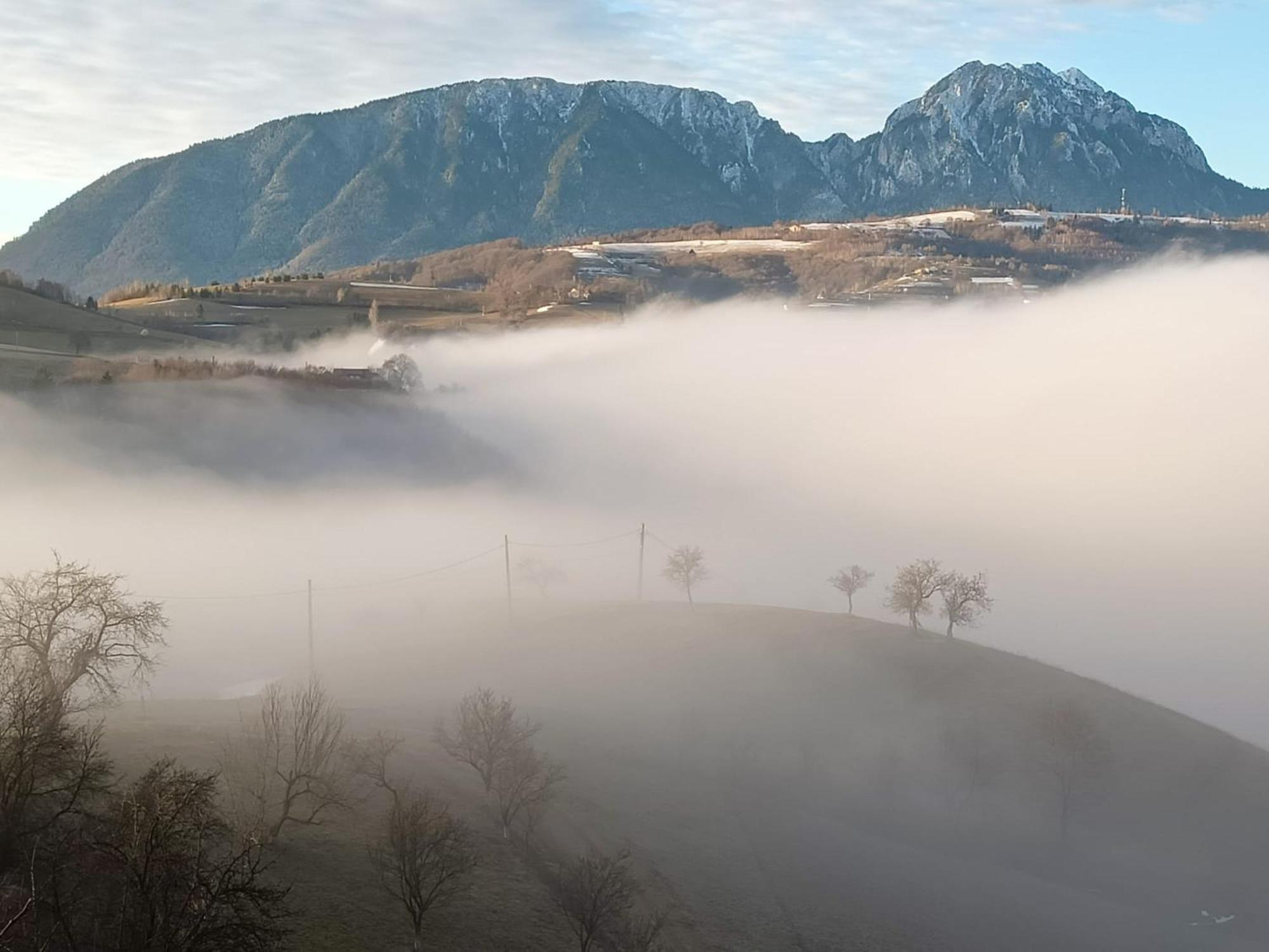 Casa Din Livada, Poiana Marului, Brasov Villa Bagian luar foto
